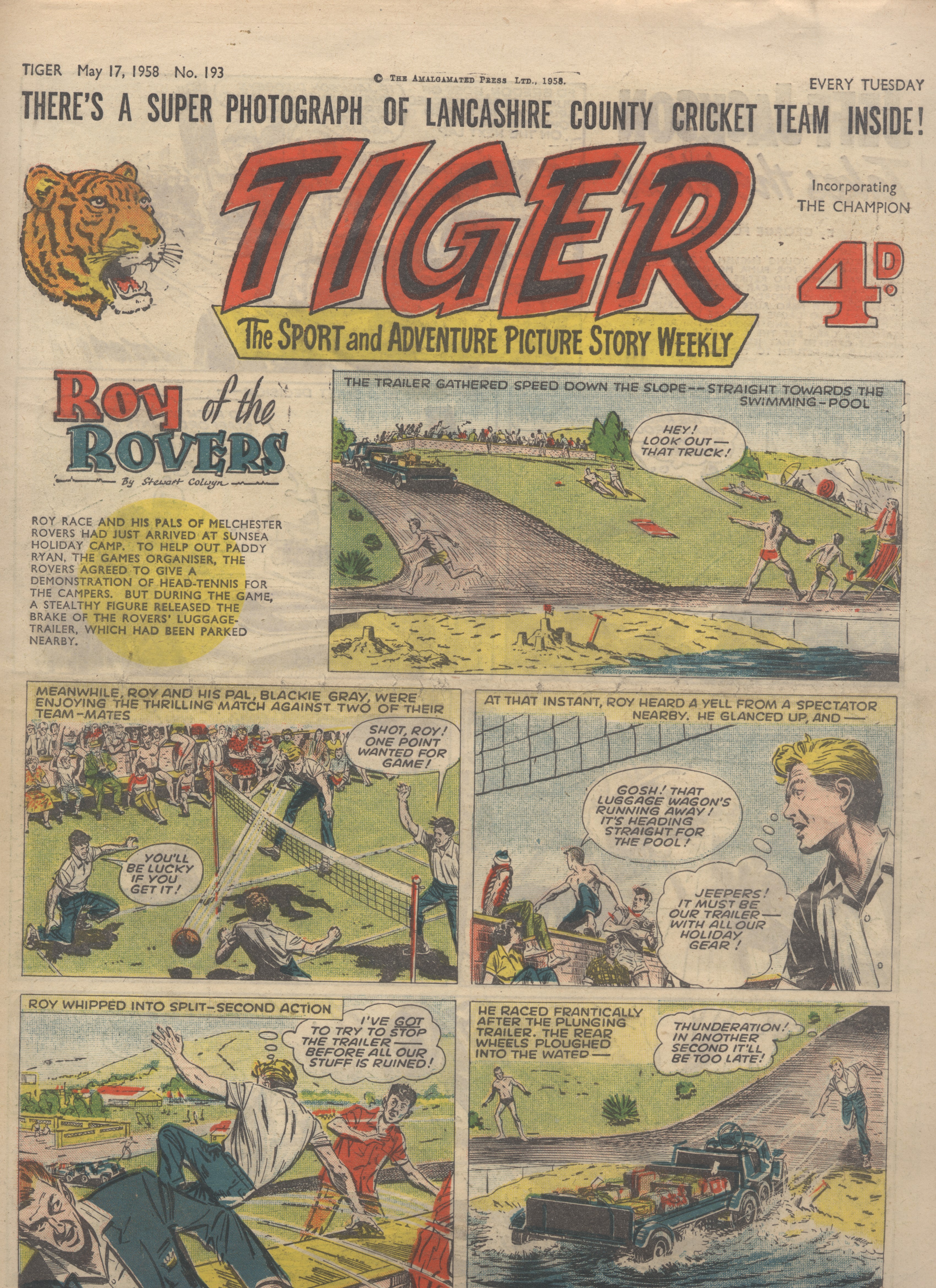 Tiger
